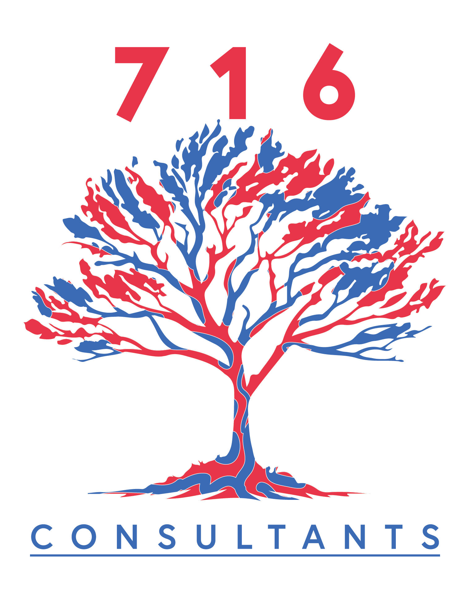 716 Consultants